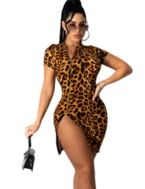Color Block Leopard Print Short Sleeve Dress